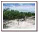 key west vacant lots for sale