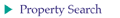 Key West real estate buyer information