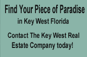 real estate offered by Naomi Van Steelandt